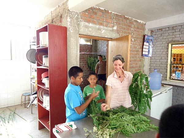 Sortierung-und-buendeln-Moringa-Blaetter-Plan-Verde-e.v.