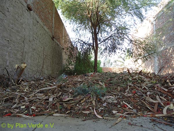 Der-Anfang-war-schwer--Plan-Verde-e.V.