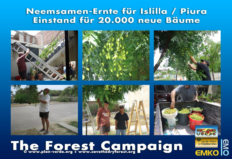 Planung und Ausführung Pflanzaktion Islilla