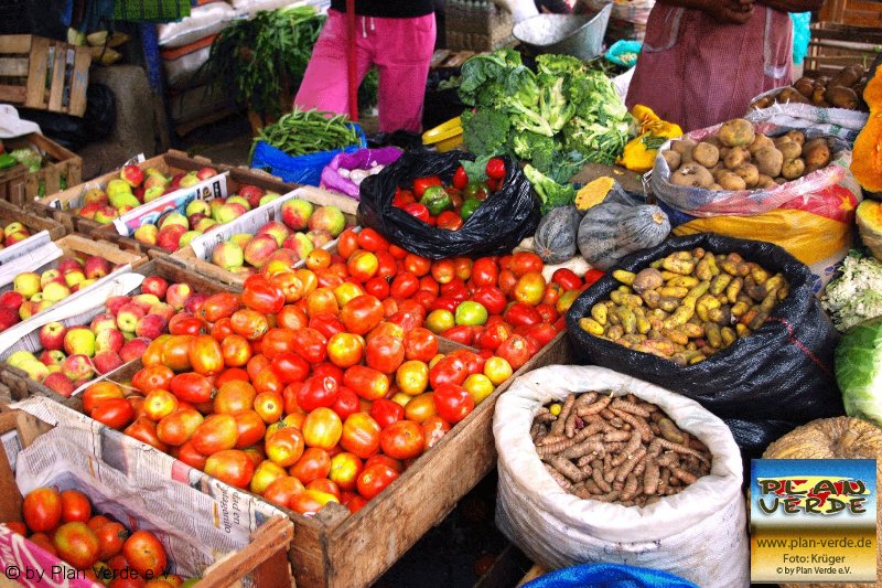 Buntes Treiben auf dem Markt