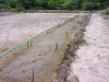 Vorbereitung der ersten Plantage