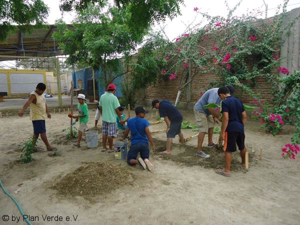 Pflanzungen-Hogar-Plan-Verde-e.V.